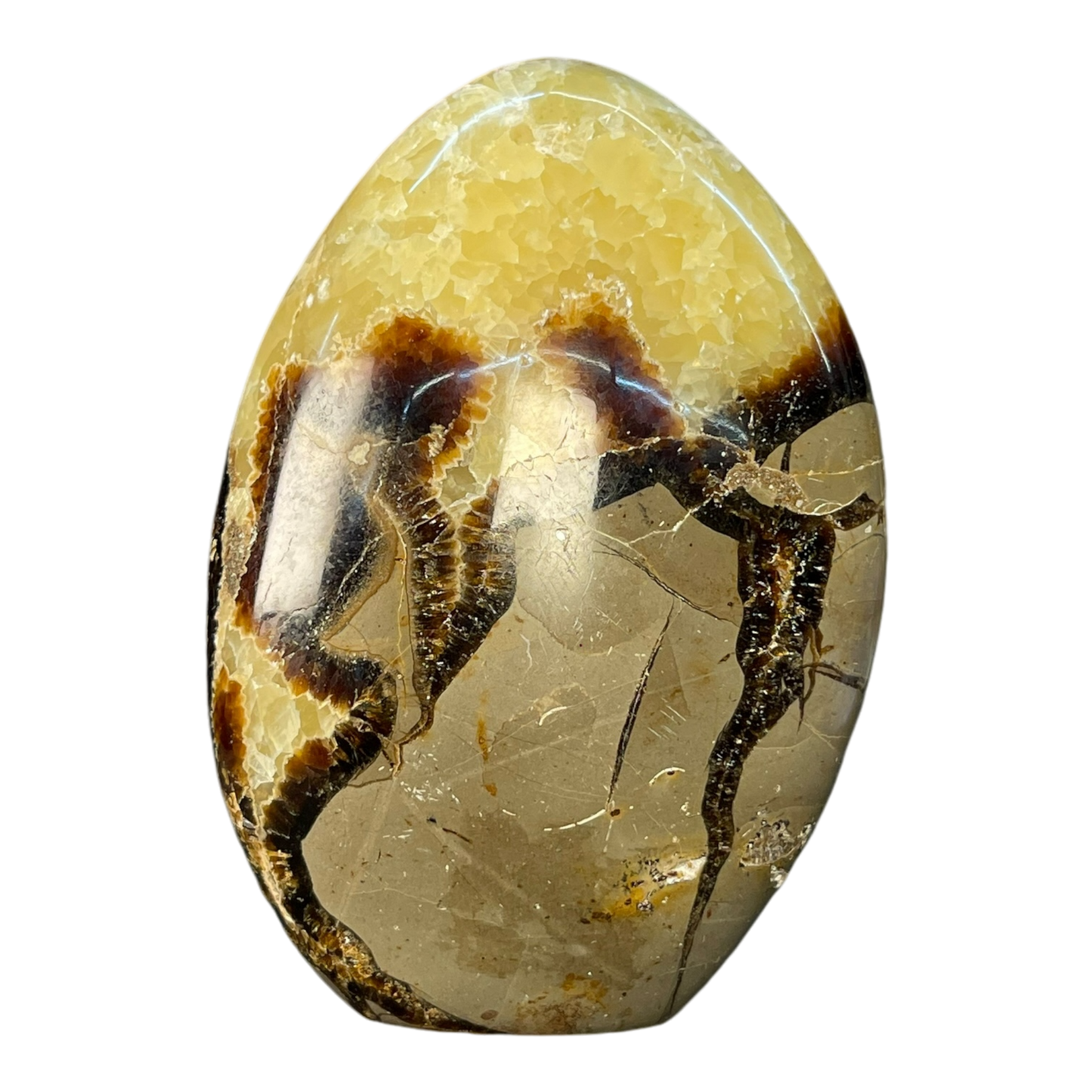 Septerian Agate