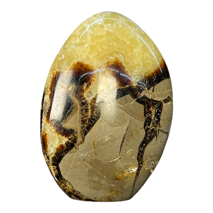 Septerian Agate