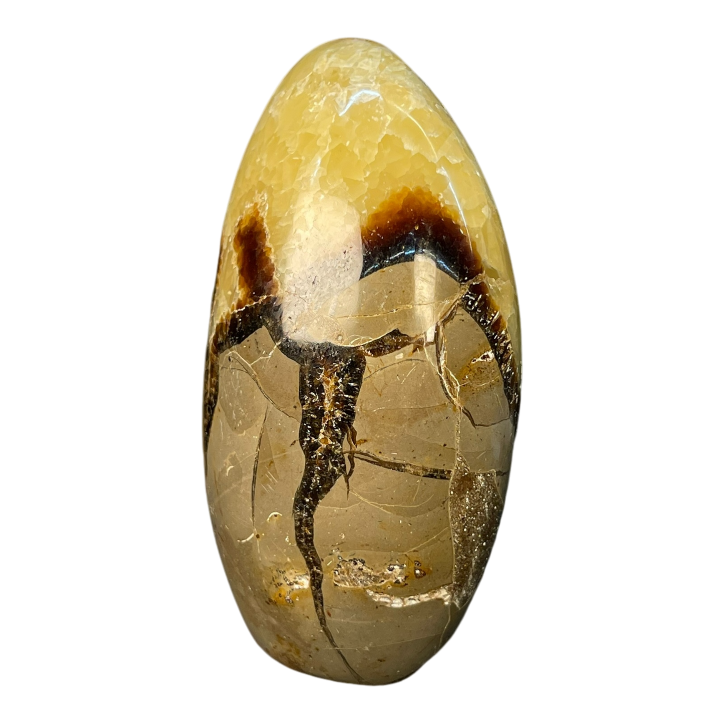 Septerian Agate