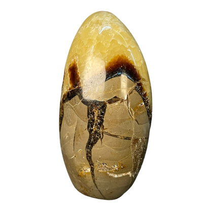 Septerian Agate