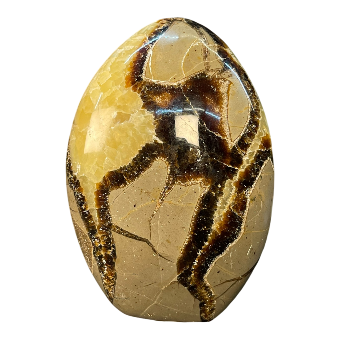 Septerian Agate