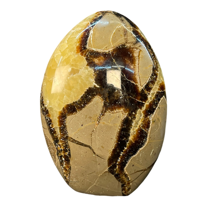 Septerian Agate