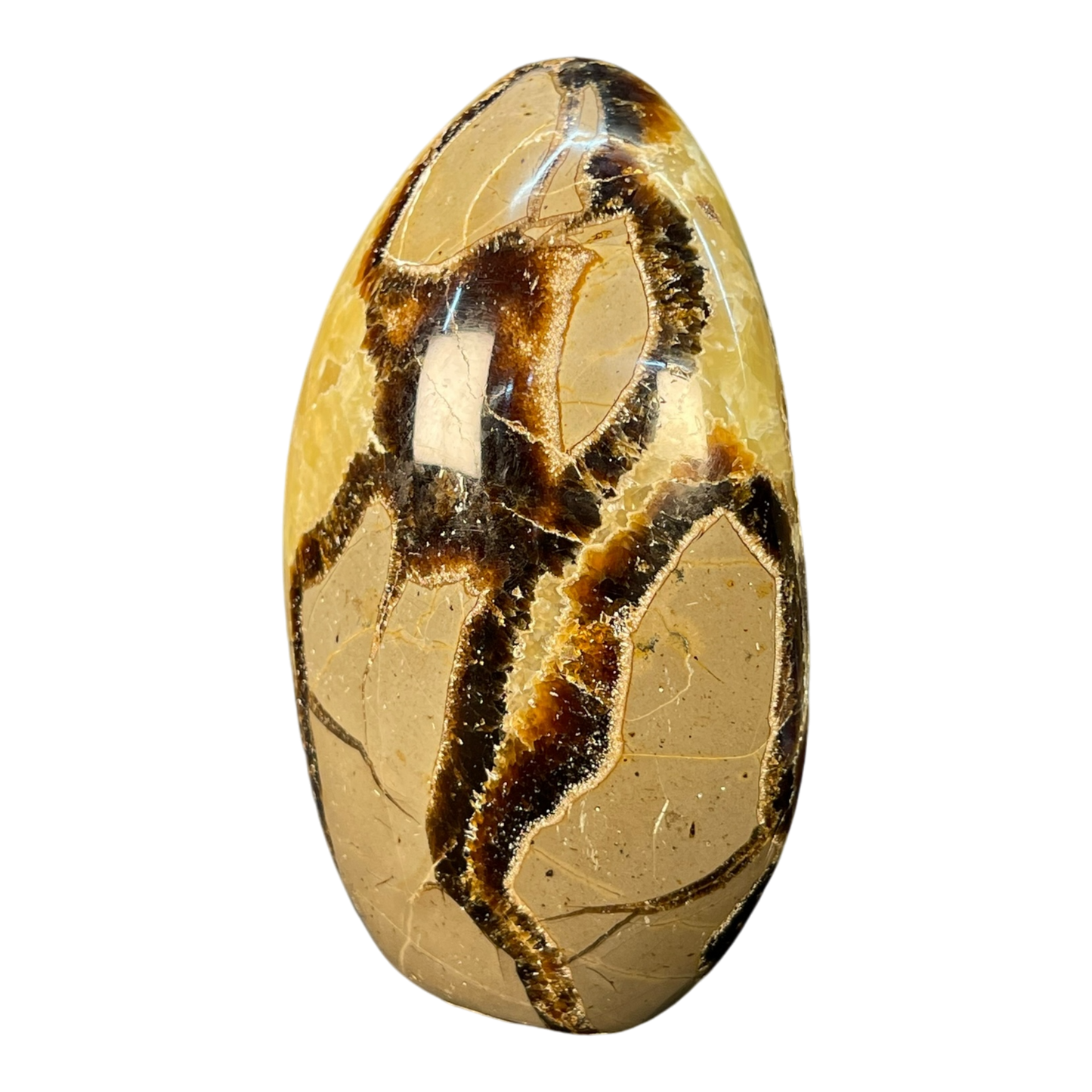 Septerian Agate