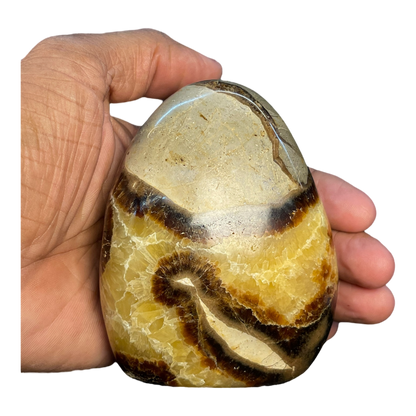 Septerian Agate