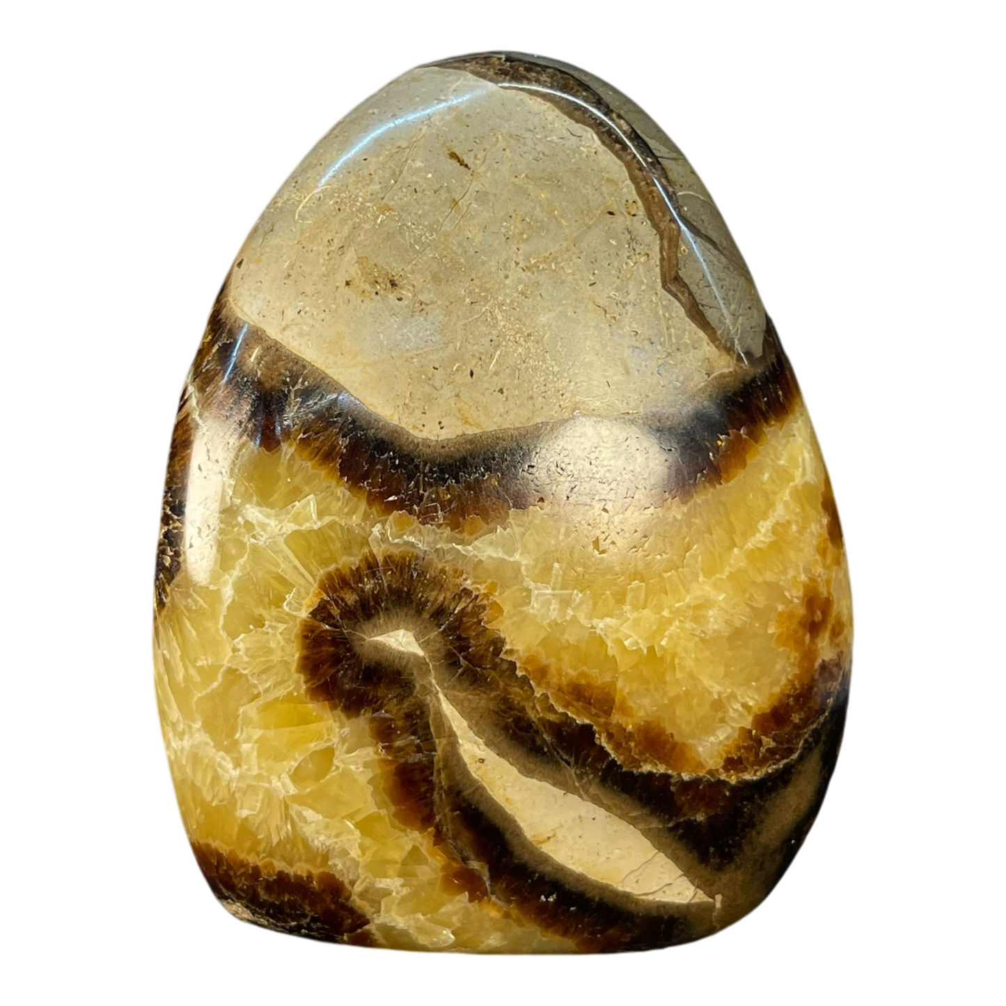 Septerian Agate