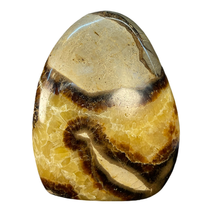 Septerian Agate