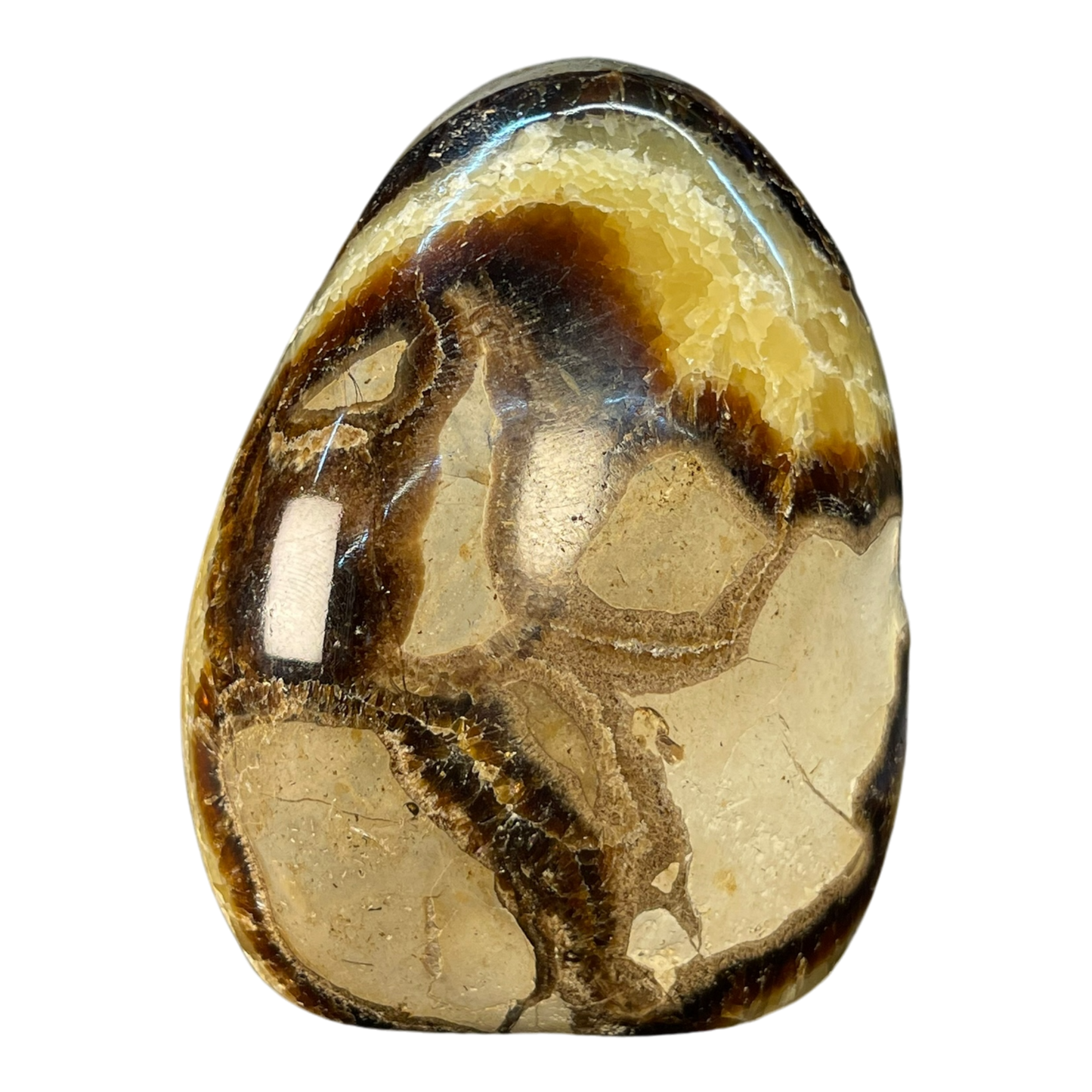 Septerian Agate