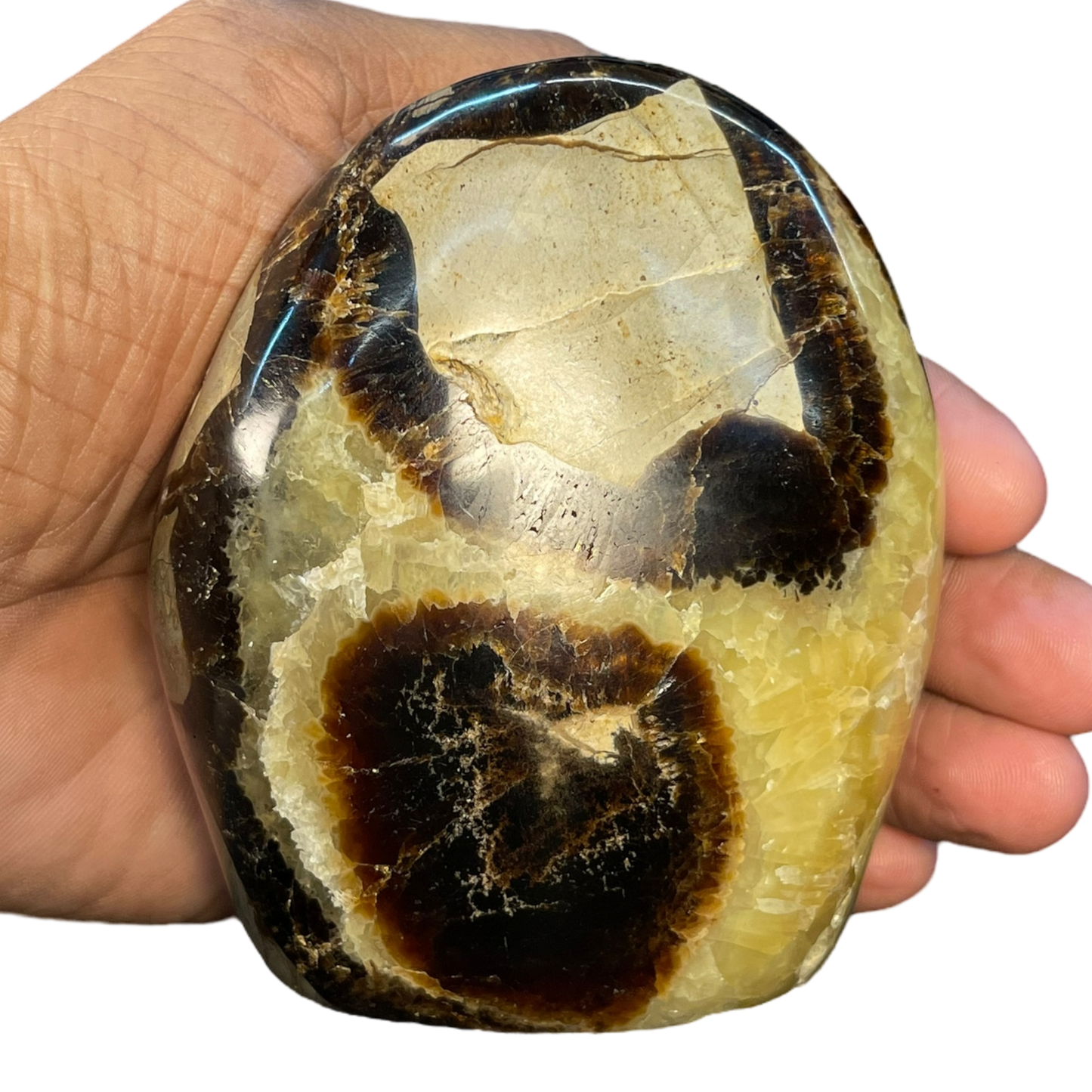 Septerian Agate