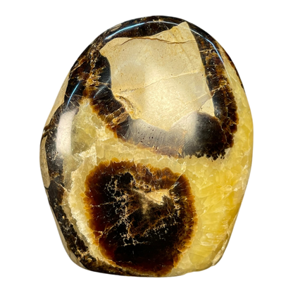 Septerian Agate