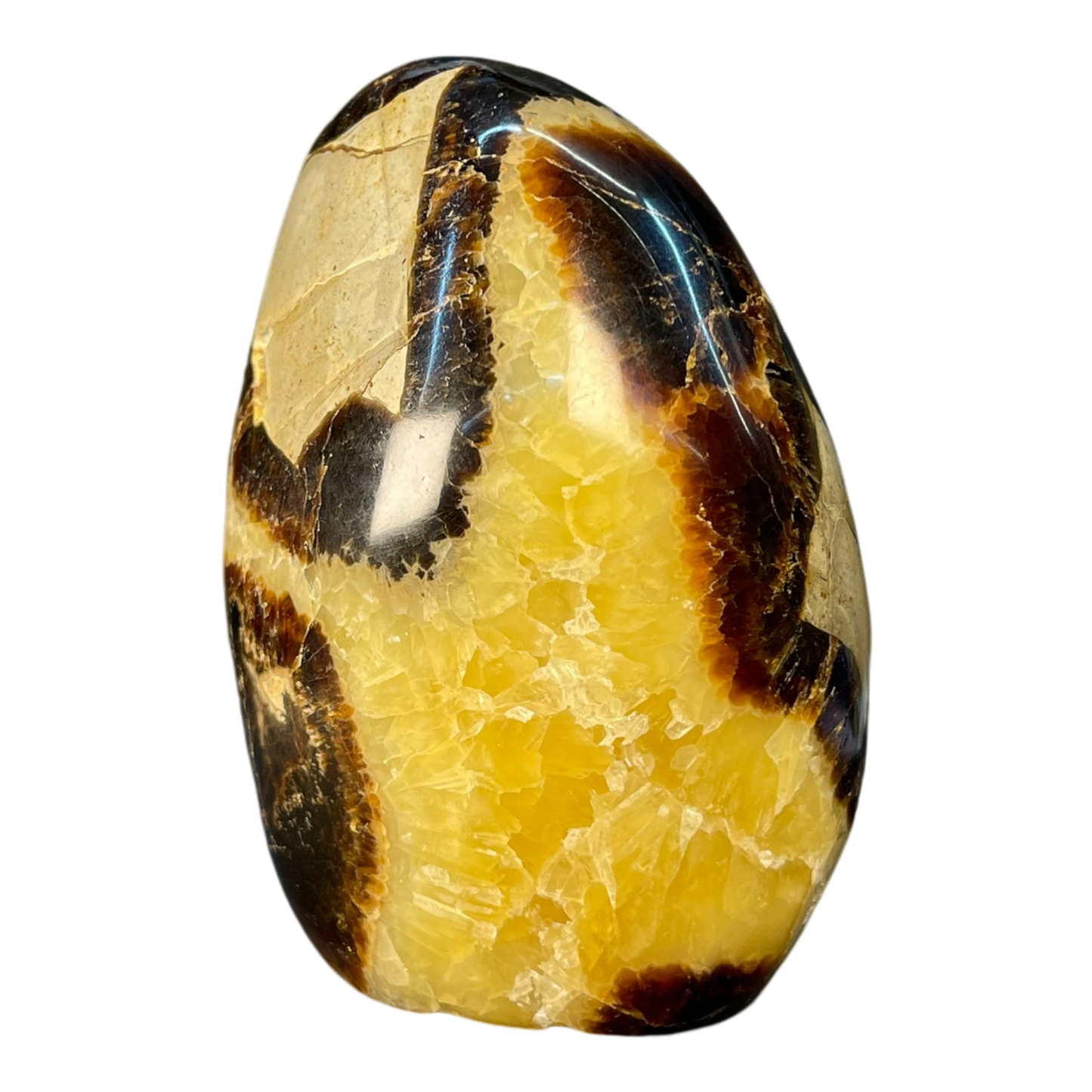 Septerian Agate