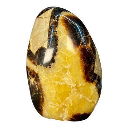 Septerian Agate