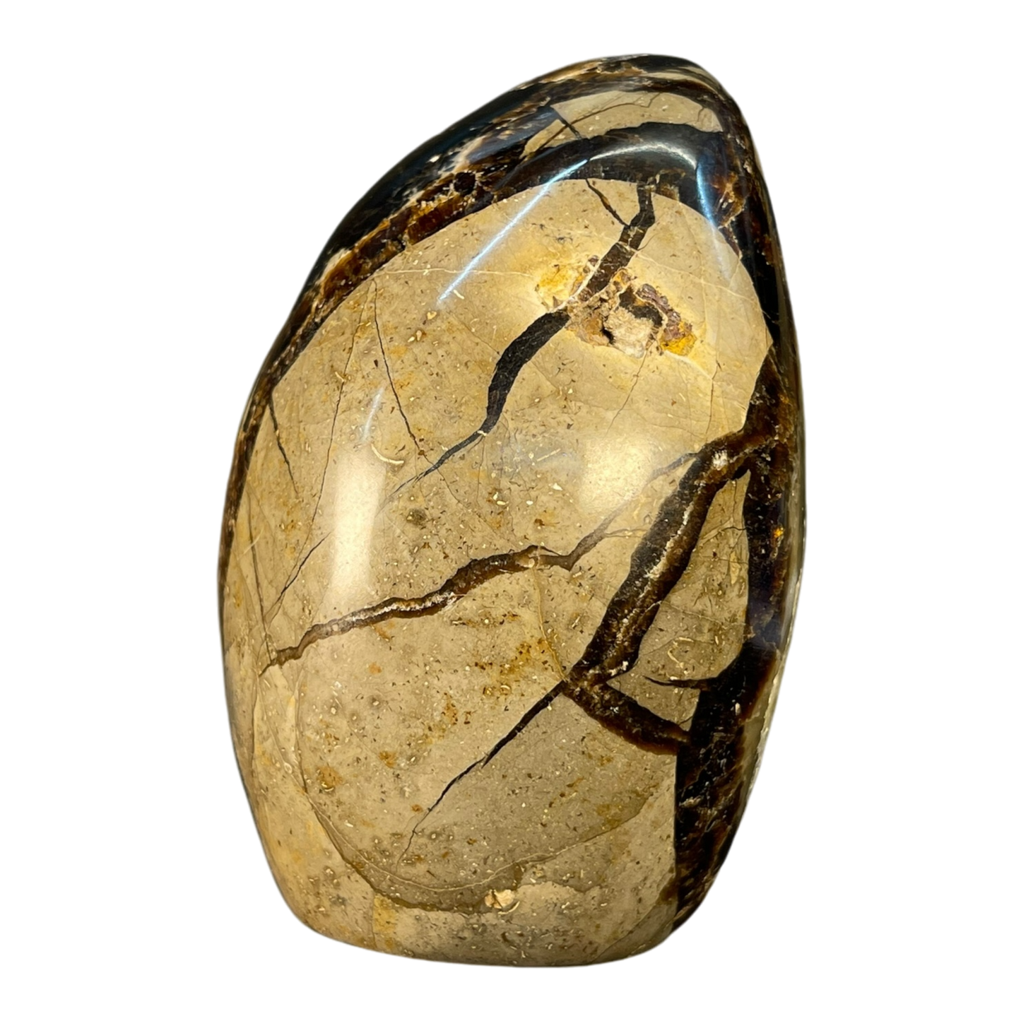 Septerian Agate