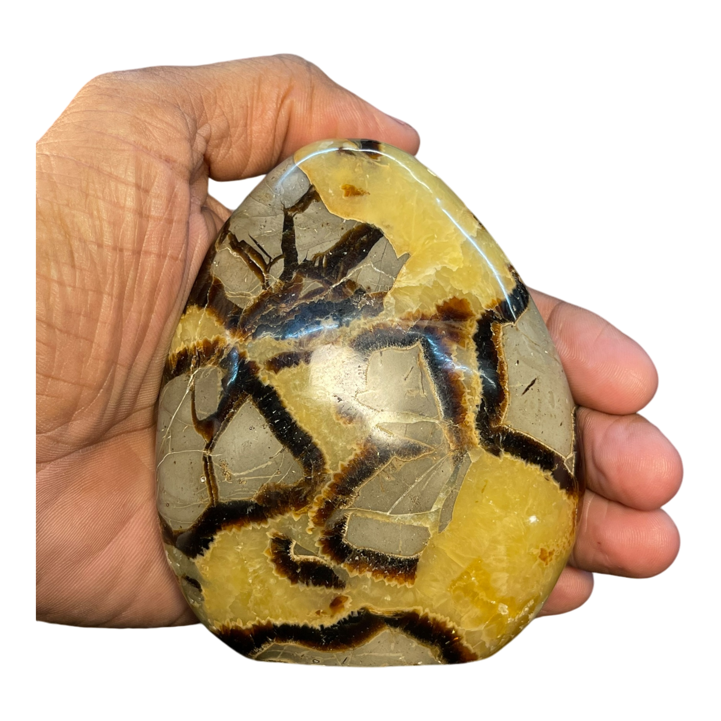 Septerian Agate
