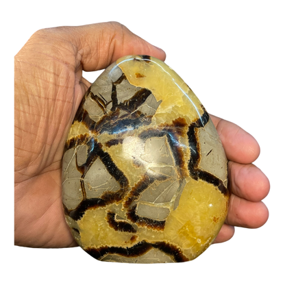 Septerian Agate