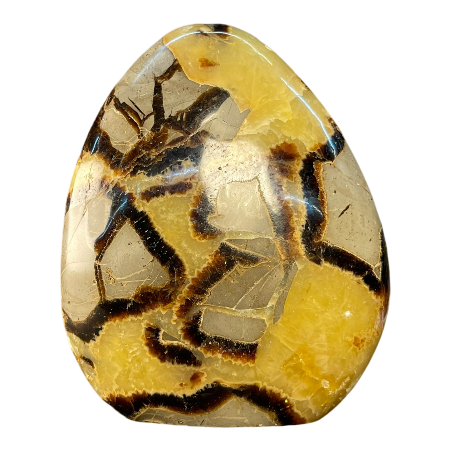 Septerian Agate