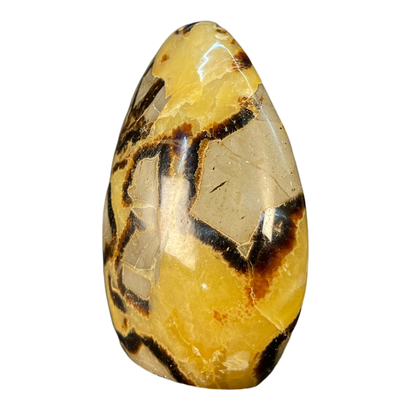 Septerian Agate