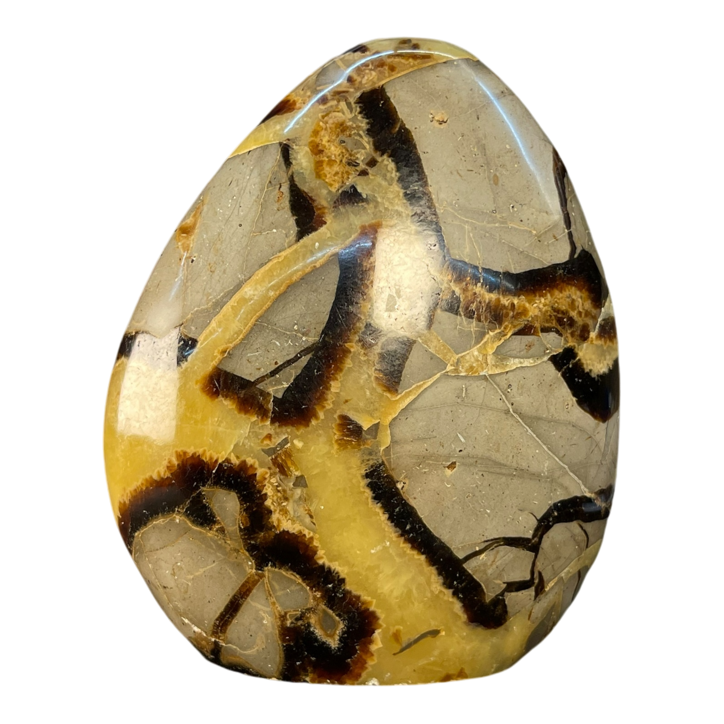 Septerian Agate
