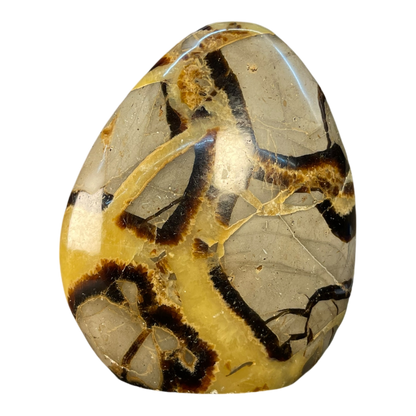 Septerian Agate