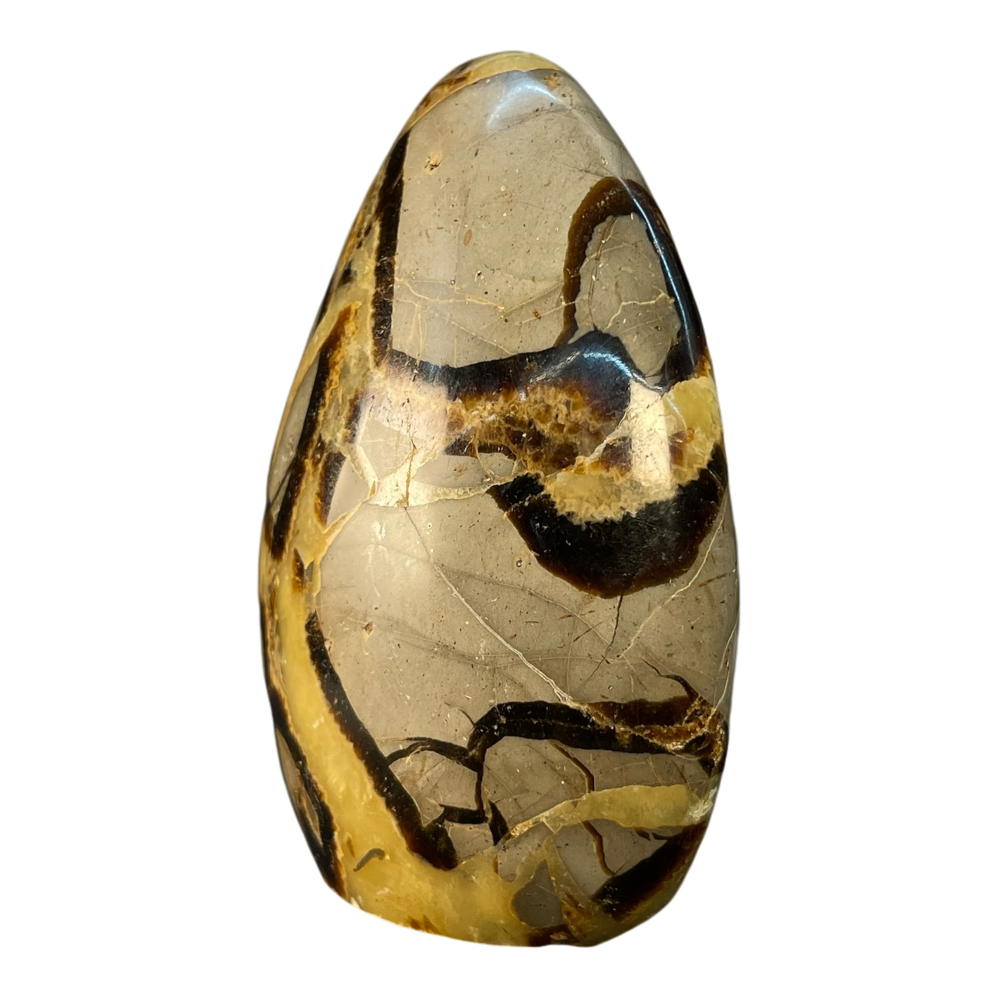 Septerian Agate