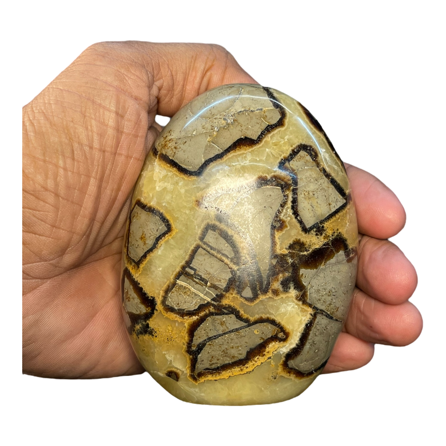Septerian Agate