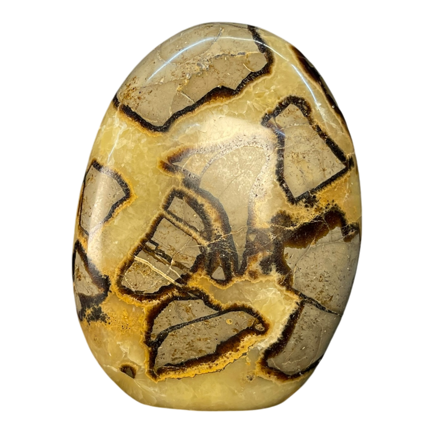 Septerian Agate