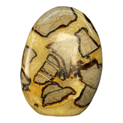 Septerian Agate