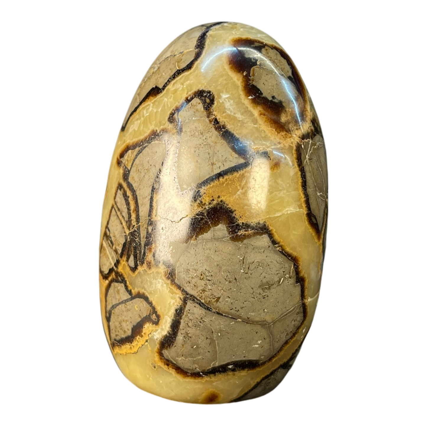 Septerian Agate