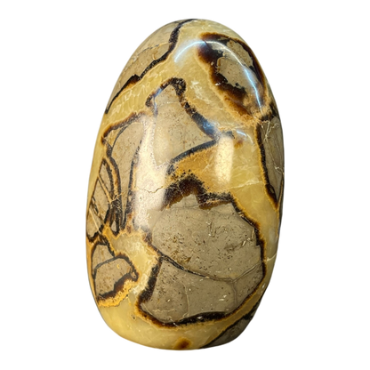 Septerian Agate