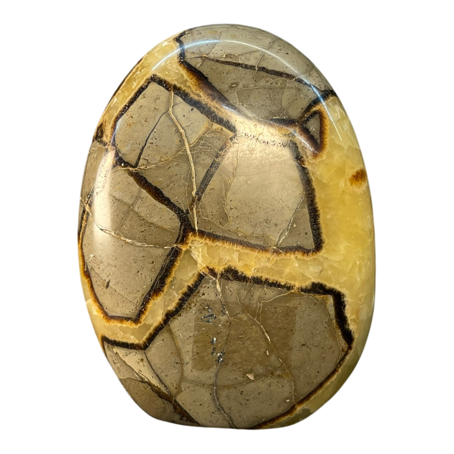 Septerian Agate