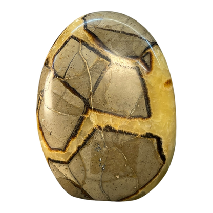 Septerian Agate