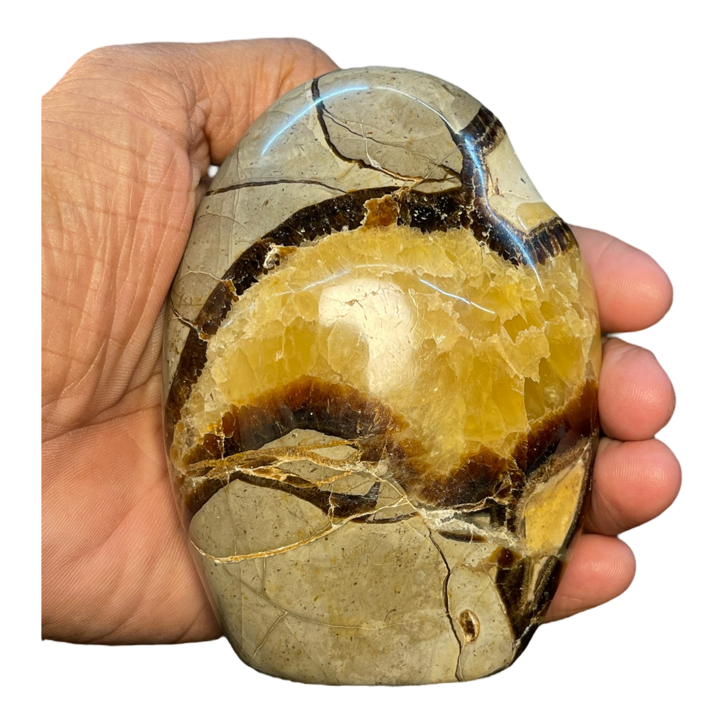Septerian Agate