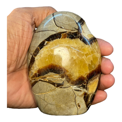 Septerian Agate