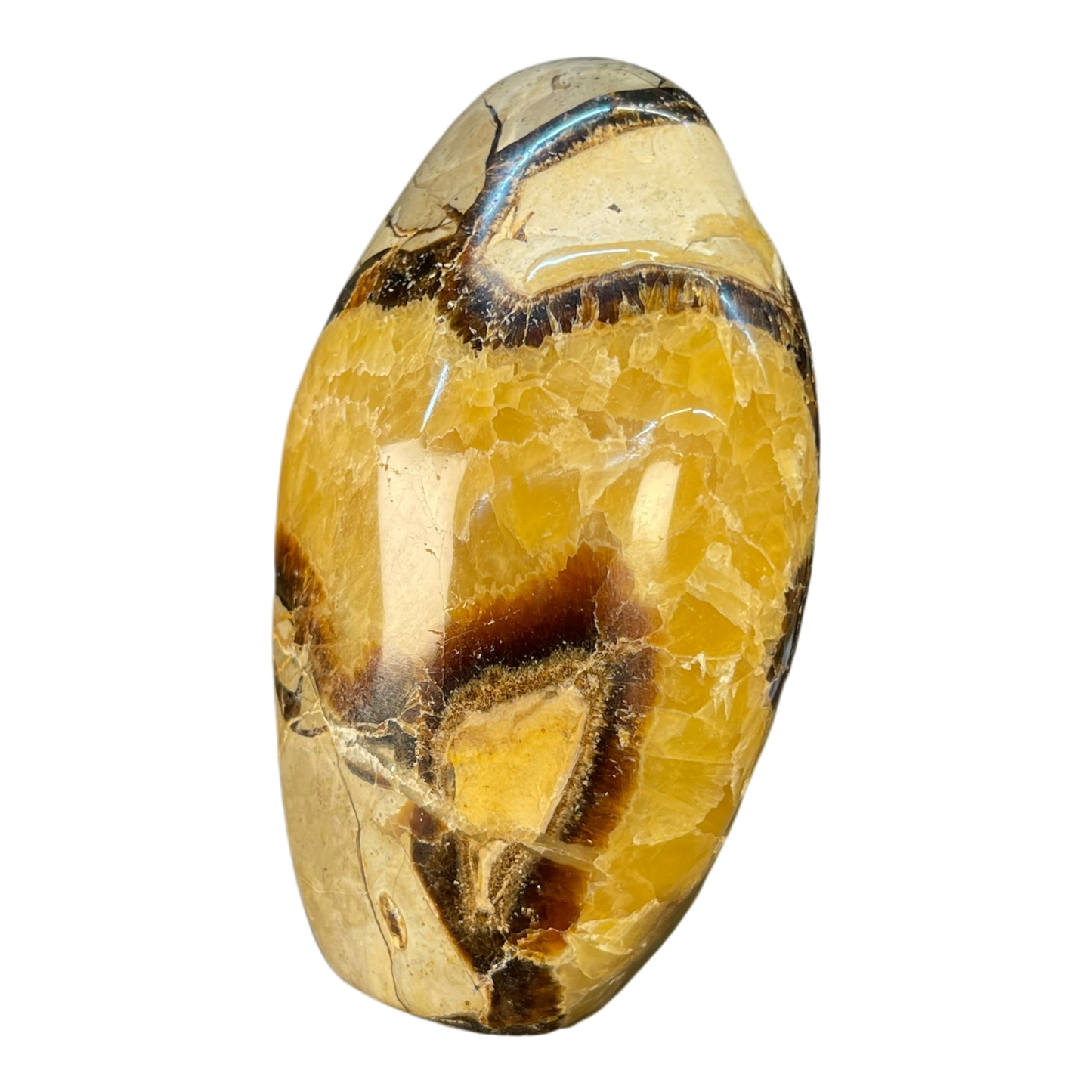 Septerian Agate