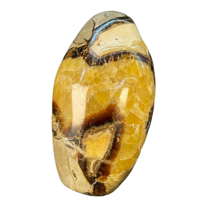 Septerian Agate