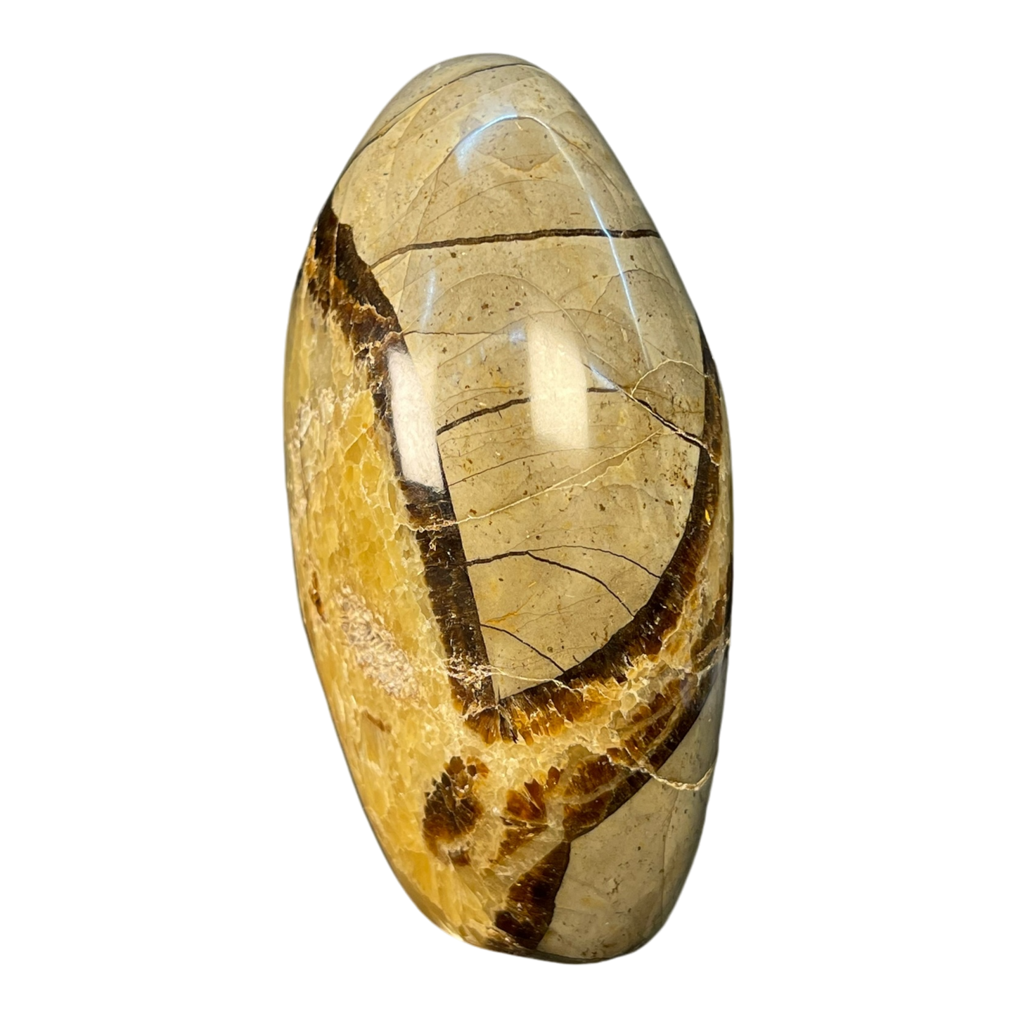Septerian Agate