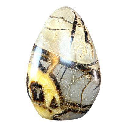 Septerian Agate