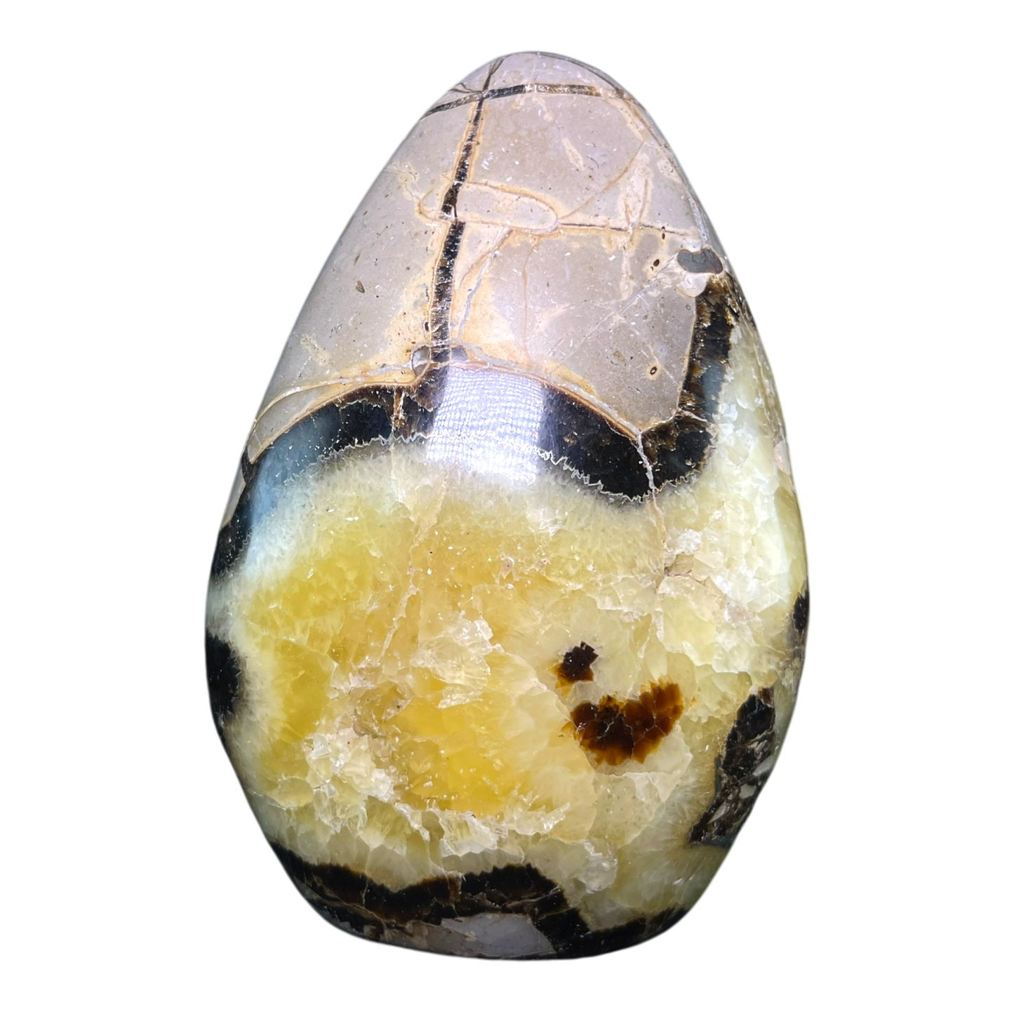Septerian Agate