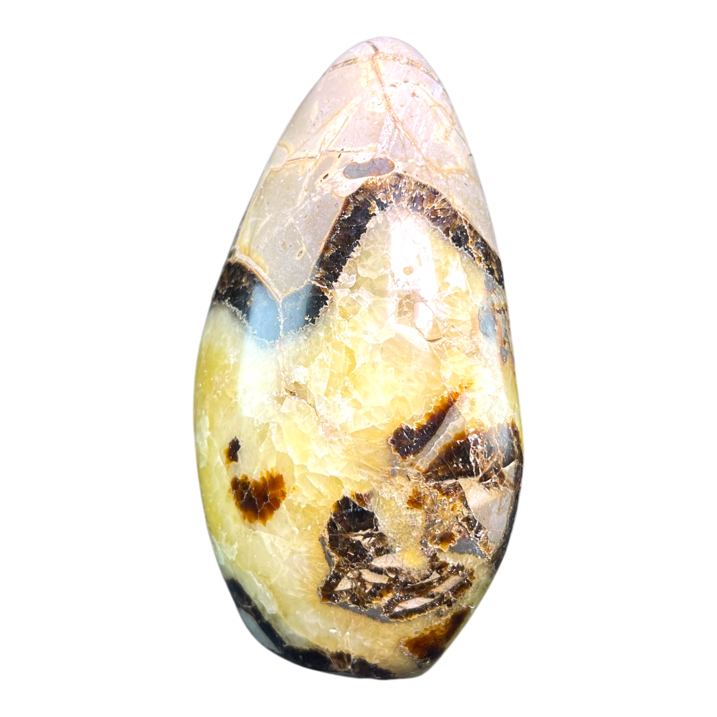 Septerian Agate