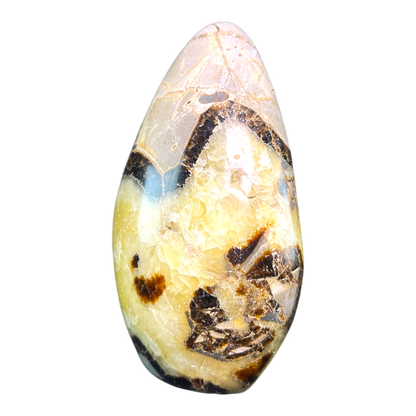 Septerian Agate