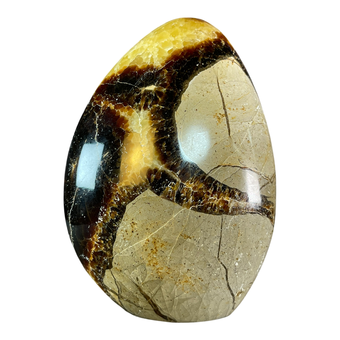 Septerian Agate