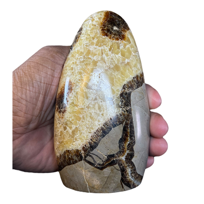 Septerian Agate