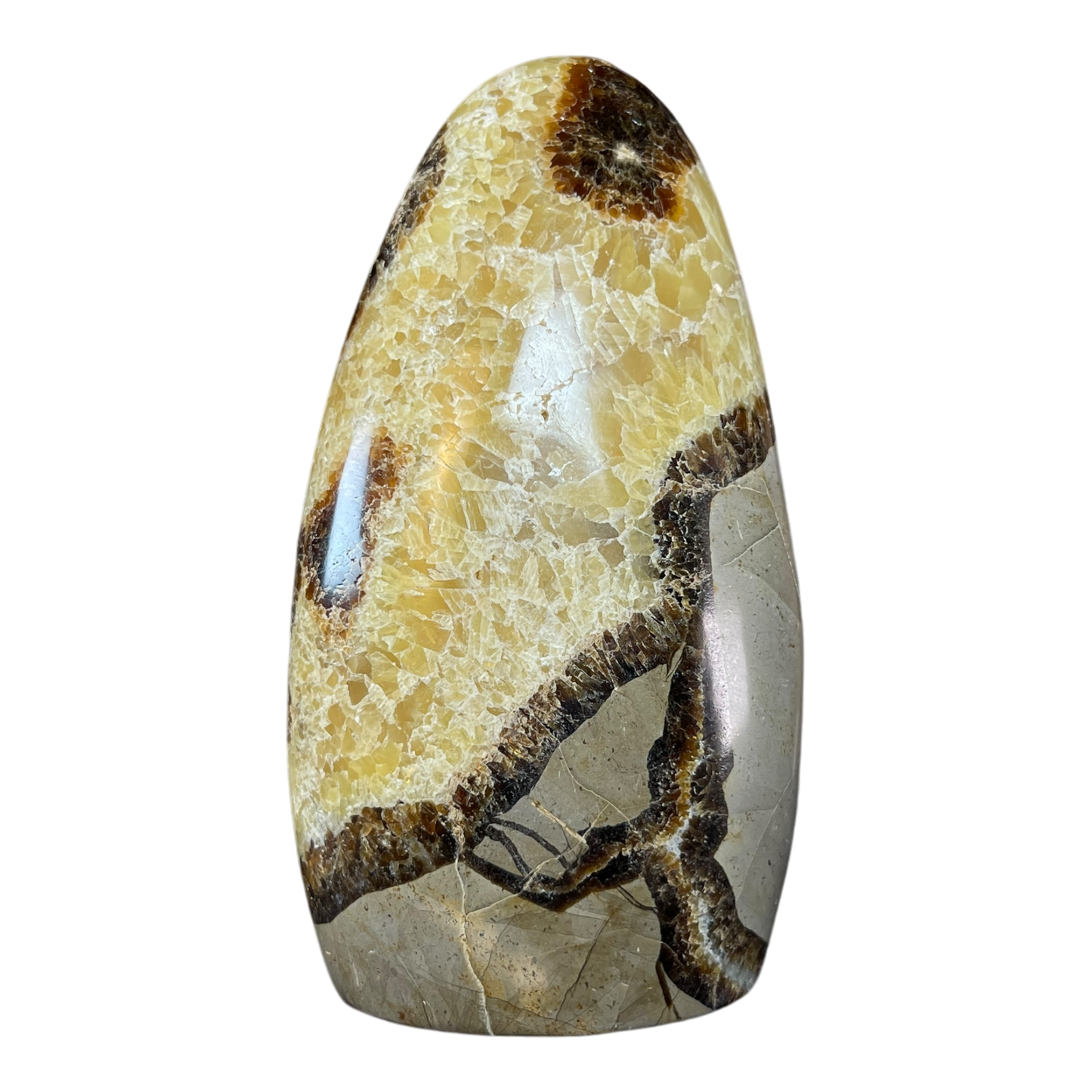 Septerian Agate