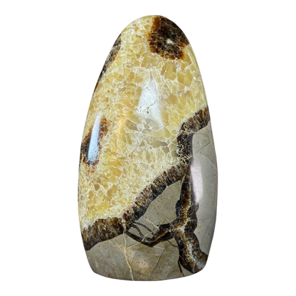 Septerian Agate