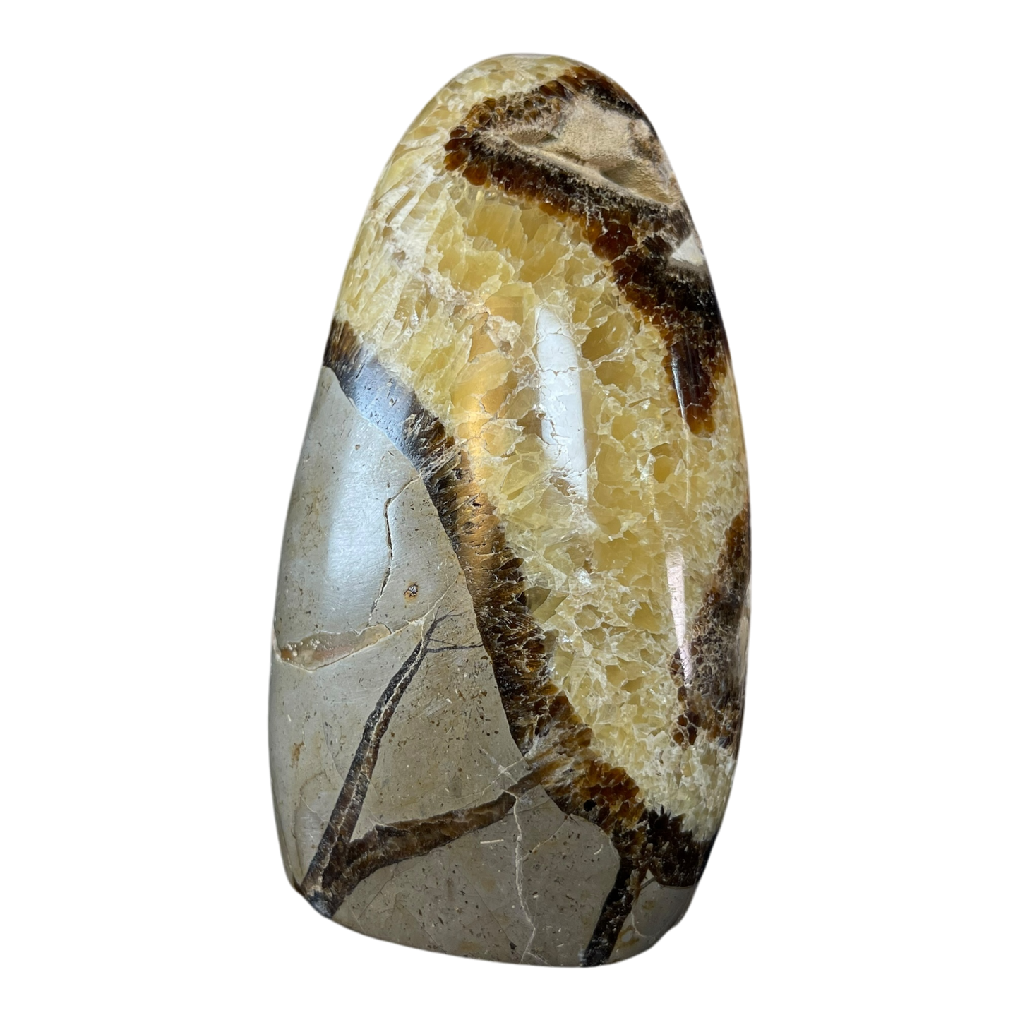 Septerian Agate