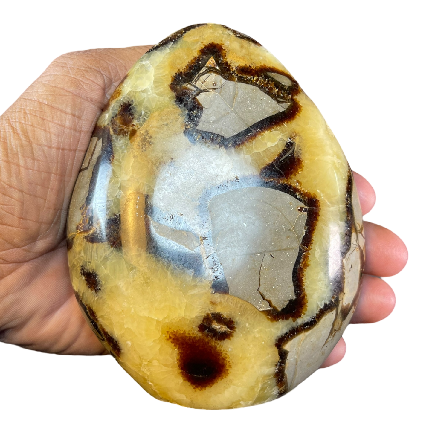 Septerian Agate