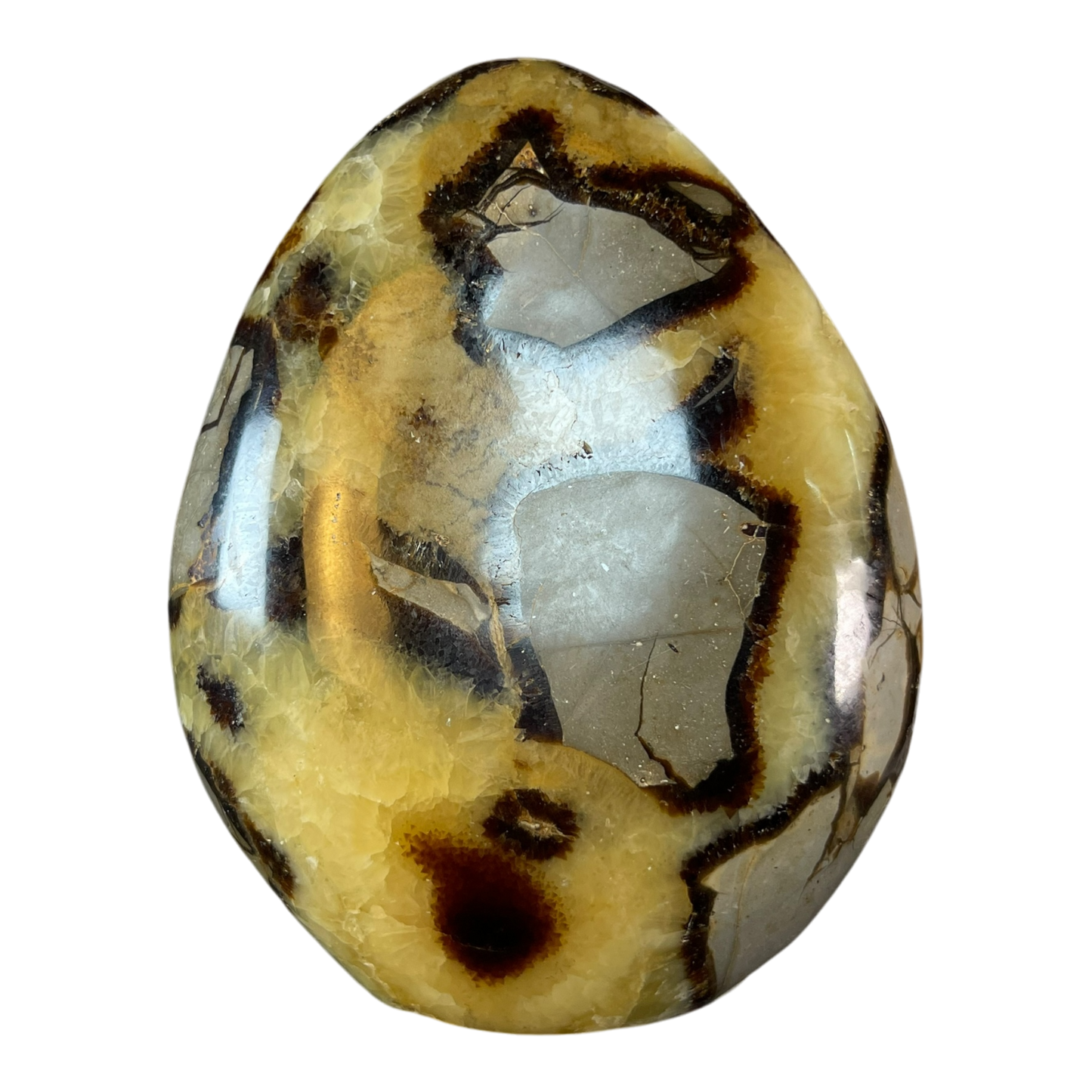 Septerian Agate