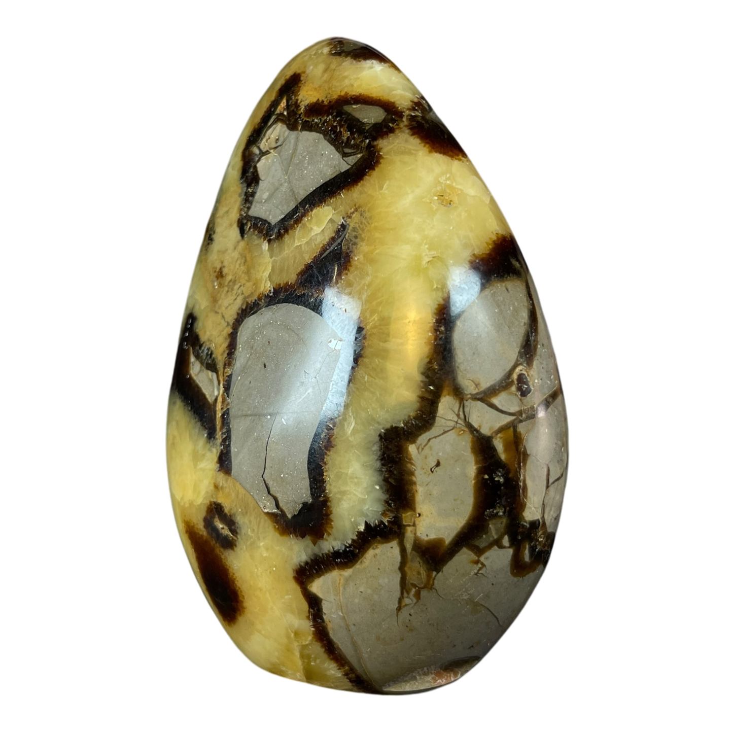 Septerian Agate