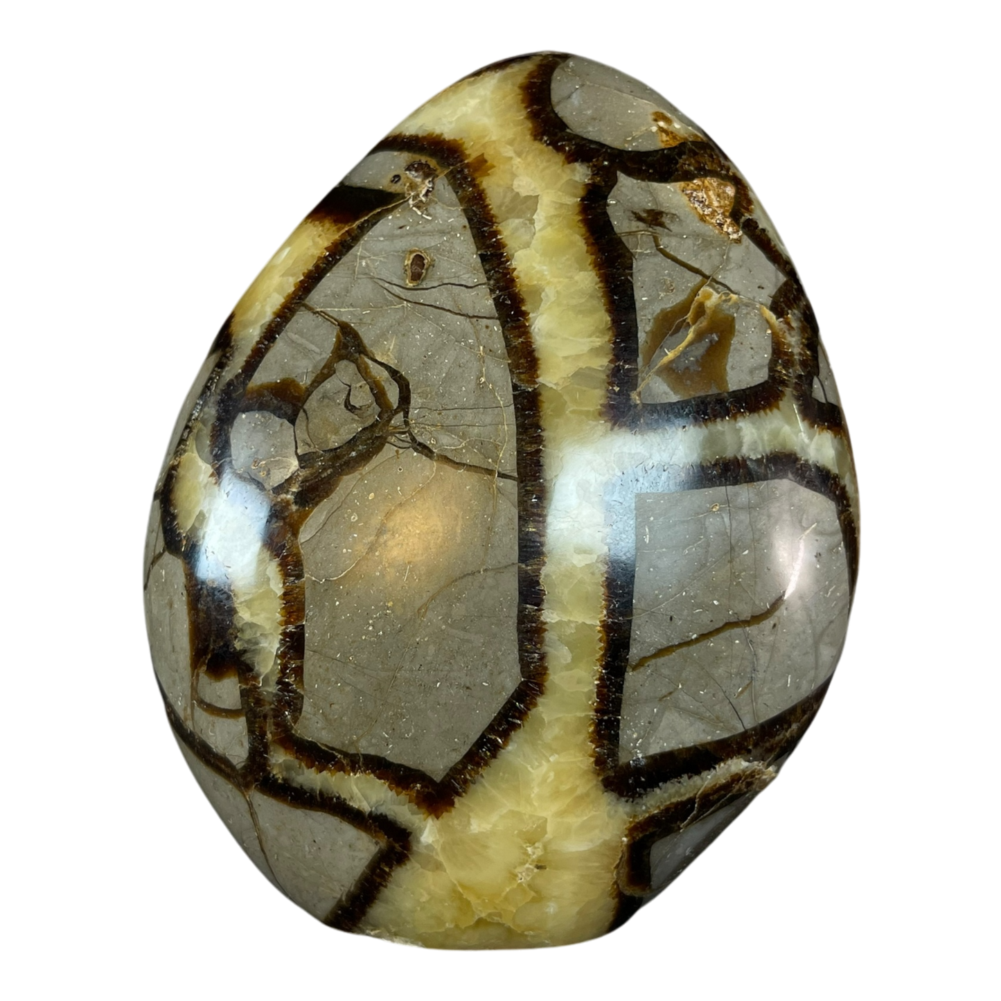 Septerian Agate
