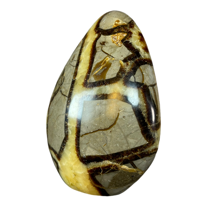 Septerian Agate