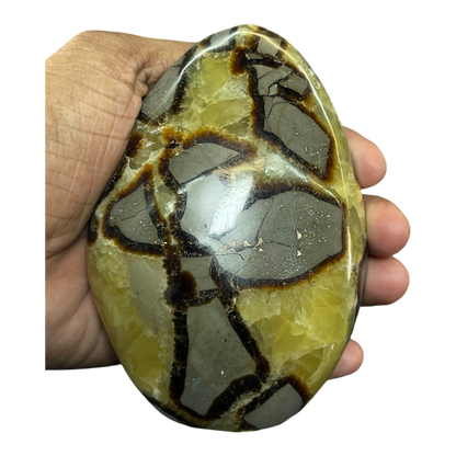 Septerian Agate